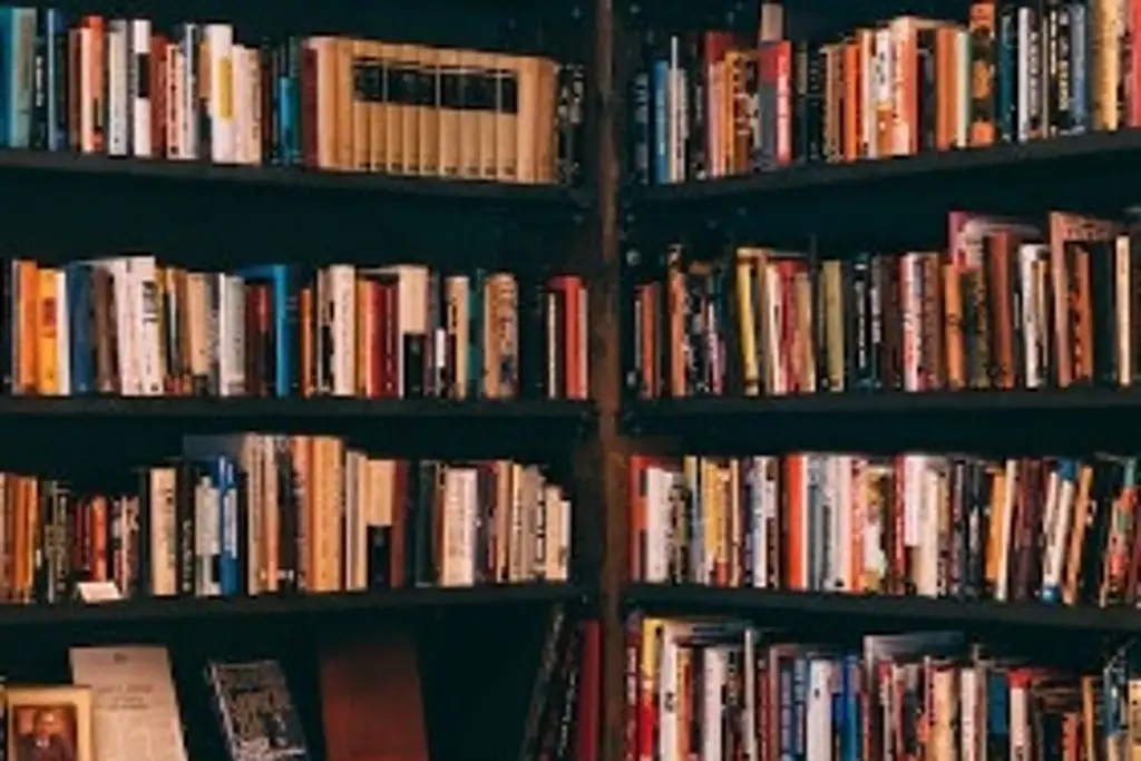 Imagen ¿De qué trata el libro 