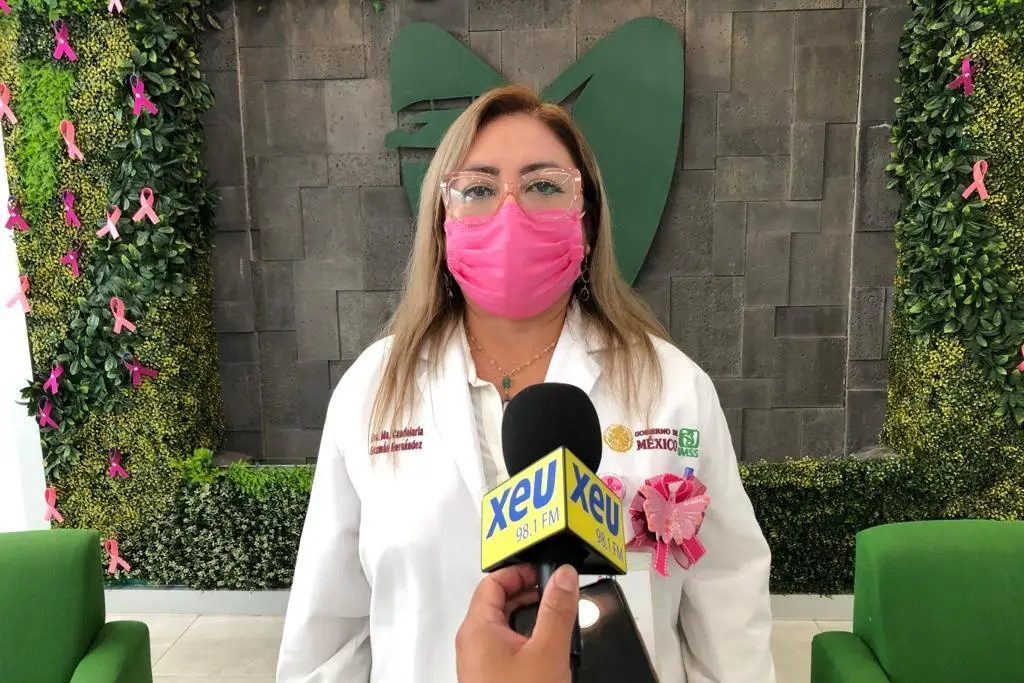 Imagen ¿Cuáles son los factores de riesgo para padecer cáncer de mama?
