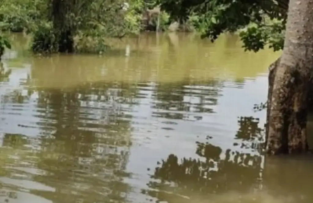 Imagen Así se encuentran actualmente los niveles de ríos en Veracruz 