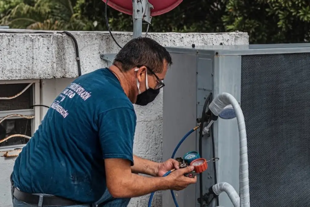 Imagen Nueva Zelanda ofrece trabajo a mexicanos con sueldos de hasta 45 mil pesos