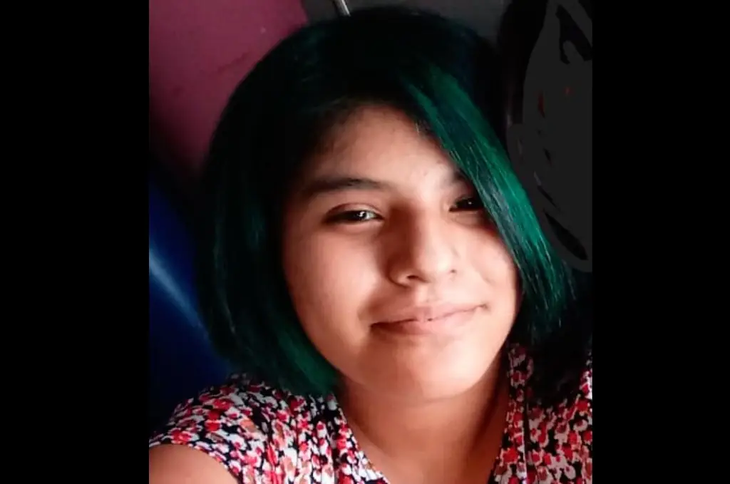 Imagen Desaparece adolescente de 17 años en Veracruz 