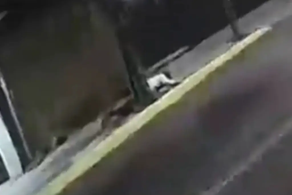 Imagen Tras recibir balazo en la cabeza, automovilista atropella y mata a sus asaltantes (+Video) 
