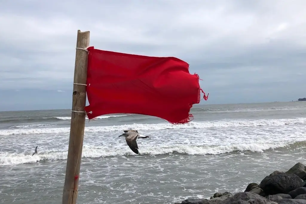Imagen ¿Qué significan las banderas de colores que colocan en las playas?