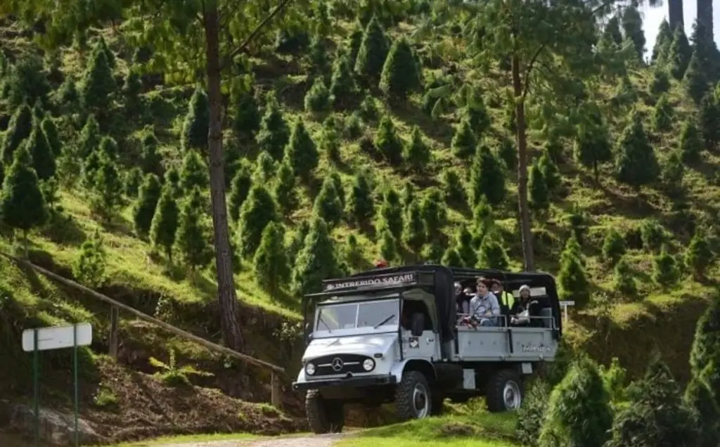 Imagen Bosque Ciclo Verde cumple 39 años de cuidar el medio ambiente y brindar esparcimiento