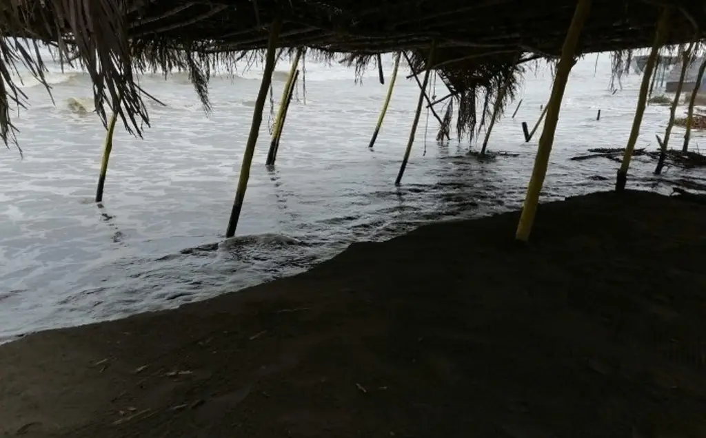 Imagen ¿Por qué se registro la marejada que afectó algunas zonas en Veracruz?