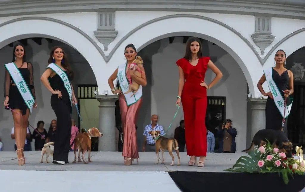 Imagen Realiza Miss Earth Veracruz tierna pasarela de adopción (+fotos)