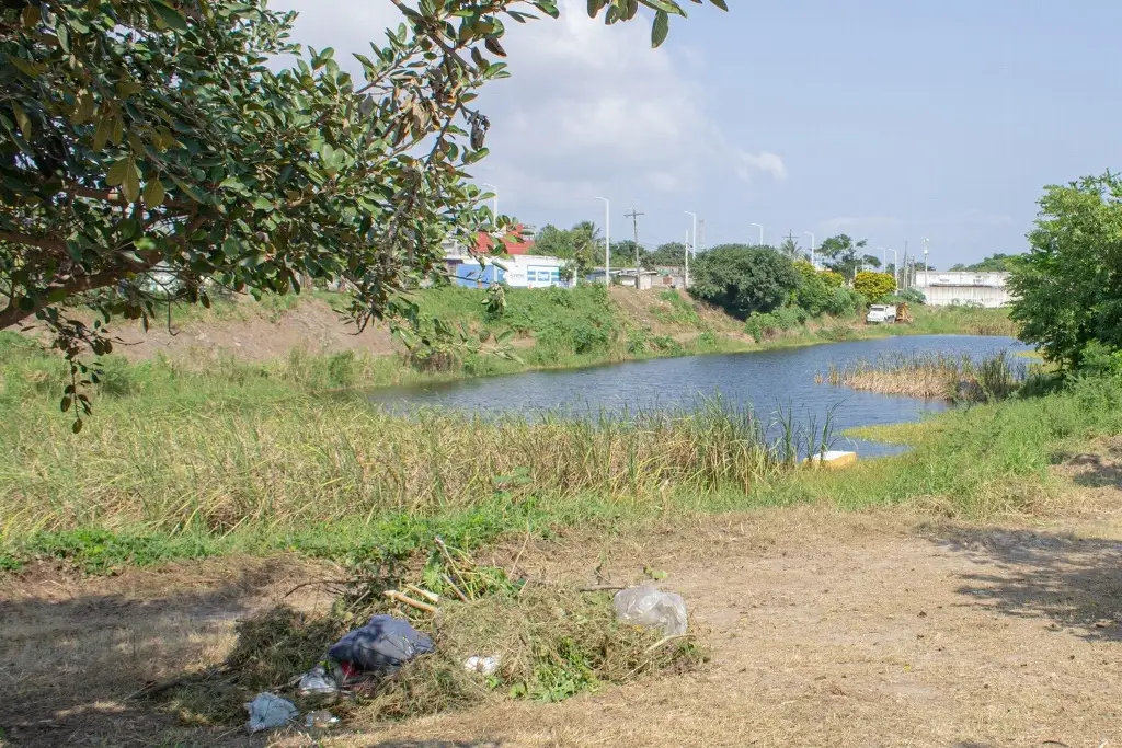 Imagen Joven muere ahogado en laguna de Veracruz