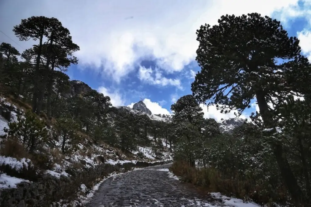 PC pronostica heladas en Pico de Orizaba y nevadas en Cofre de Perote