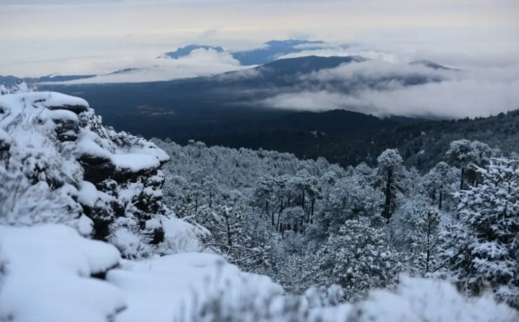 Imagen Así se ve la nevada en el Cofre de Perote; piden extremar precauciones