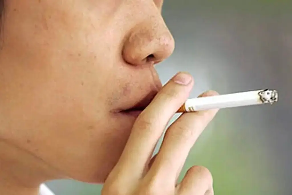 Imagen Ya se amparan en Veracruz y Boca del Río para que sigan fumando donde ahora prohíben 