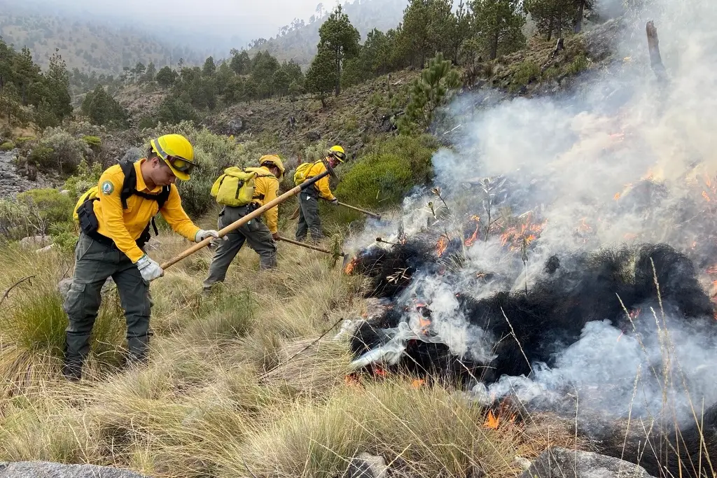 Imagen Reporta PC 50% de control y 20% de liquidación de incendio forestal en el Pico de Orizaba