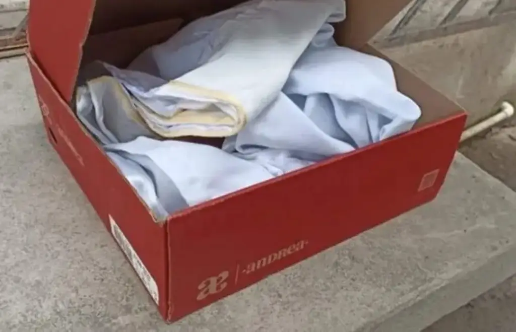 Imagen ¿Qué pasará con el recién nacido hallado en una caja de zapatos en un municipio de Veracruz?