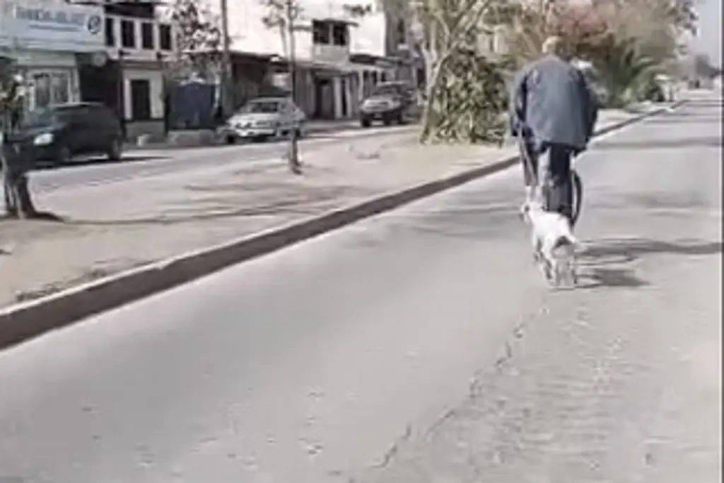 Imagen Hombre en bicicleta arrastra a perrita amarrada del cuello; ya investigan 