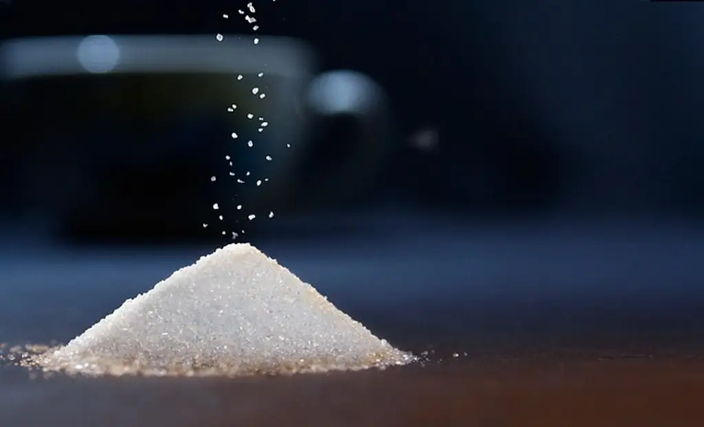 Imagen Estudiante mexicana diseña sensor que mide nivel de azúcar en alimentos y bebidas