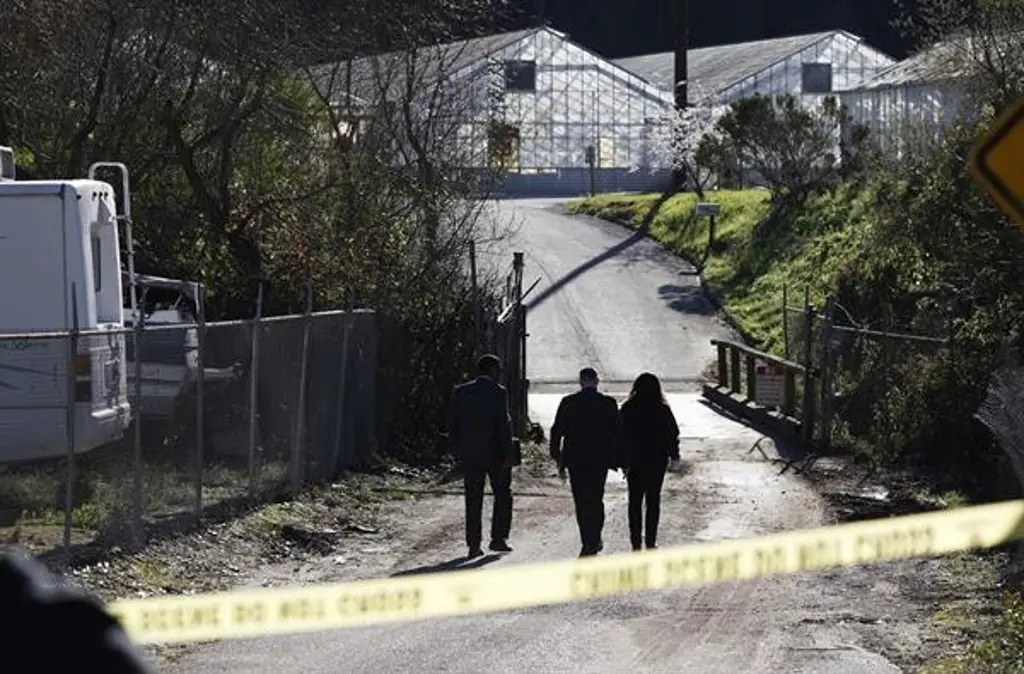 Imagen Hay dos mexicanos, entre los muertos por tiroteo en California, informa consulado
