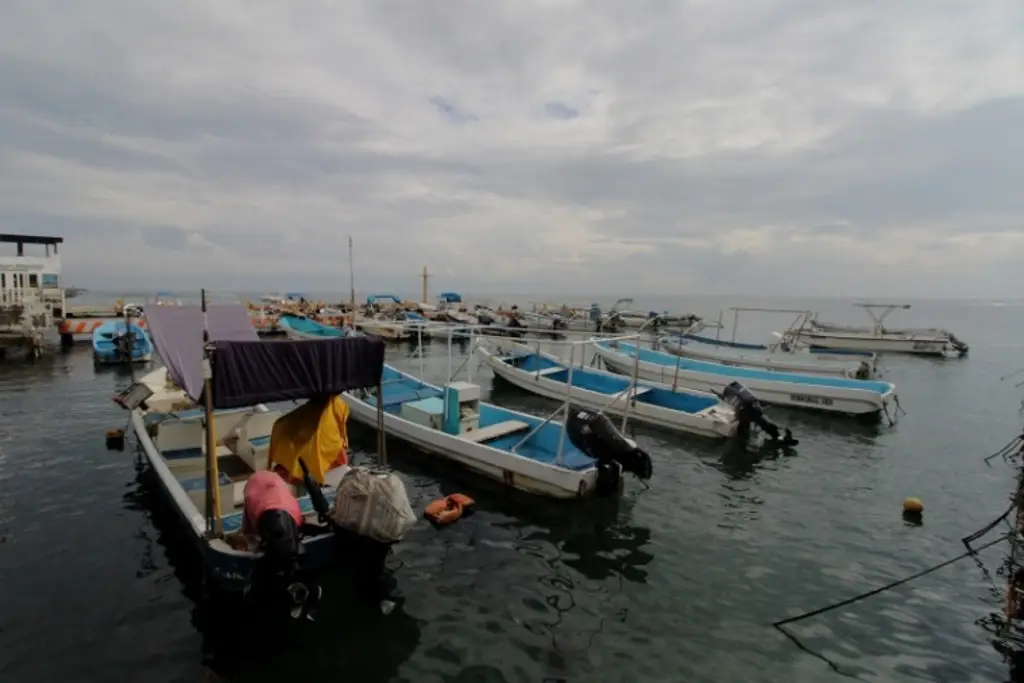 Imagen Celebrarán en Veracruz el Día del Pescador