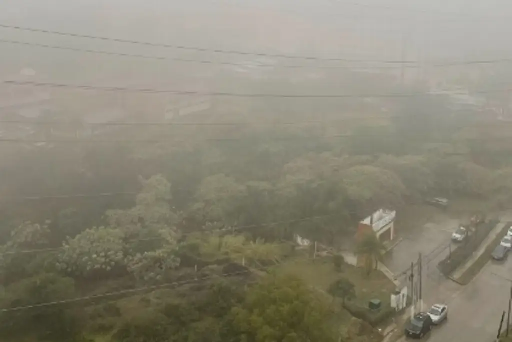Imagen Se registra lluvia e intensa niebla en Xalapa 