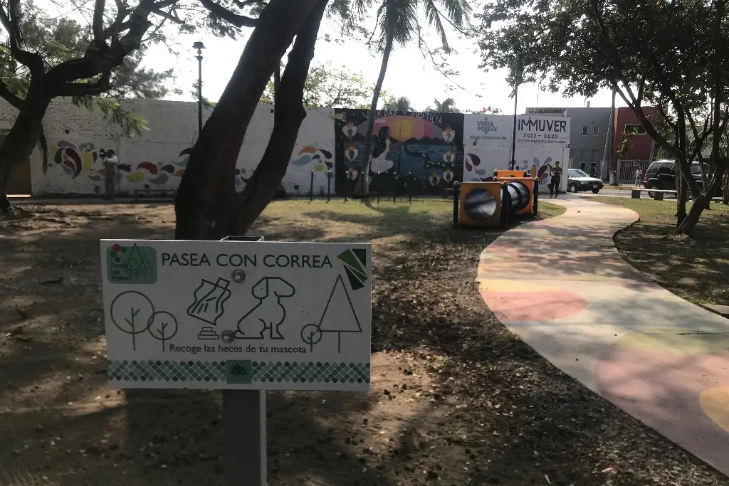 Imagen Conoce el primer parque en Veracruz que ya tiene juegos para tus perros
