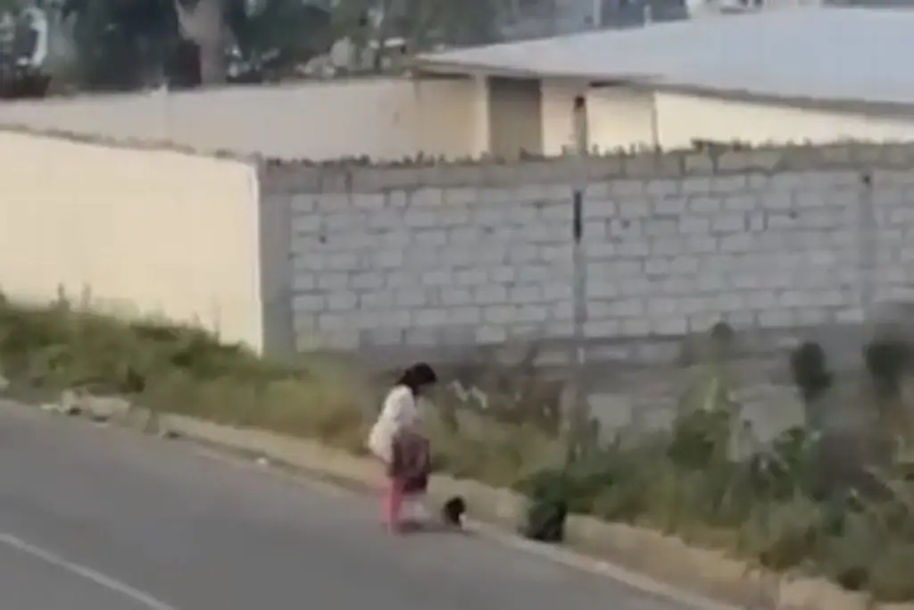 Imagen Detenida tras ser exhibida pateando a su hijo de 2 años (+Video)