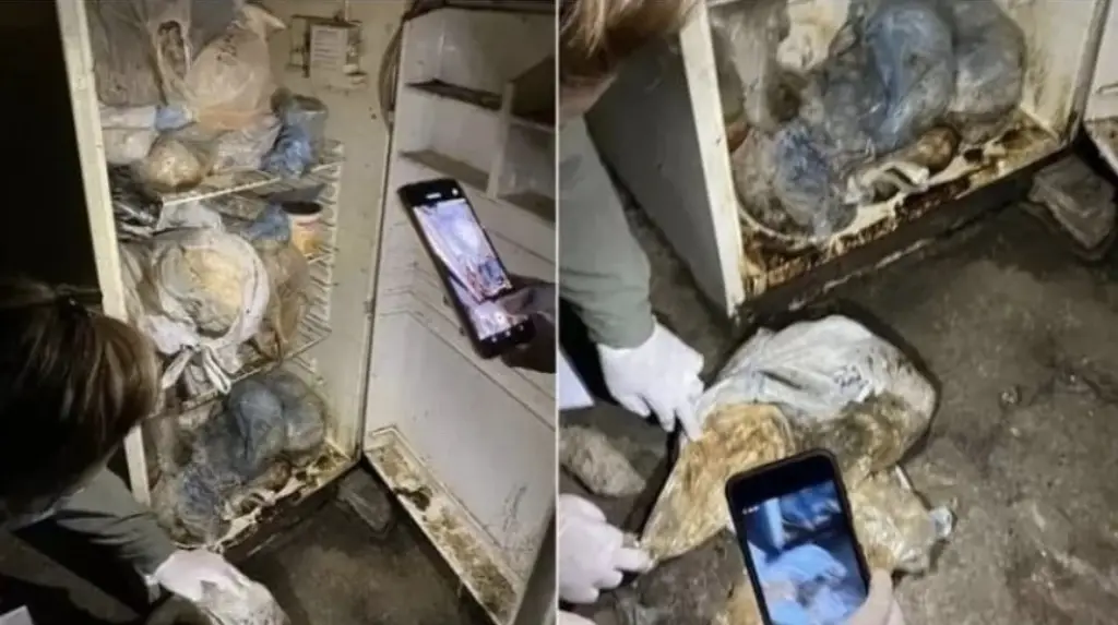 Imagen Sacrificaba perros y gatos 