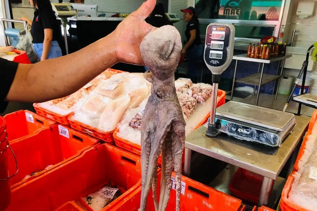 Imagen Inició la Cuaresma, pero hay bajas ventas de pescado en Veracruz 