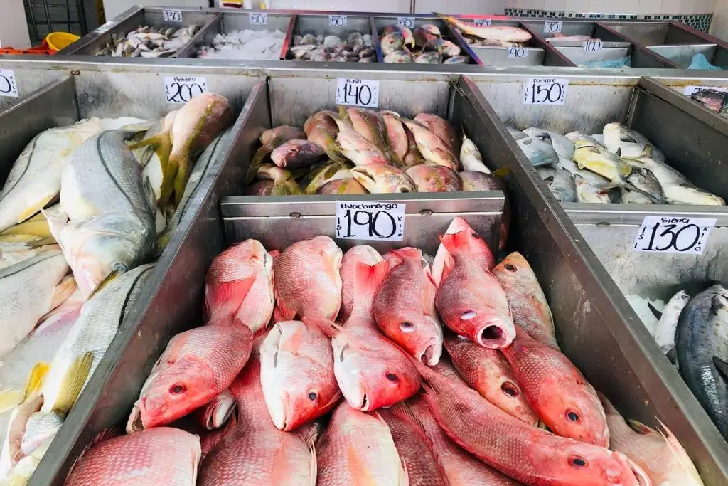 Imagen ¡Por las nubes! Estos son los precios del pescado en Veracruz