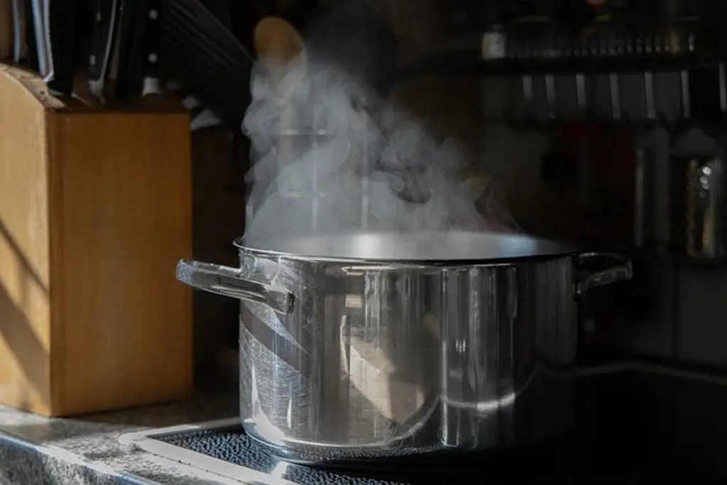 Imagen Hallan en olla de sopa la cabeza de influencer asesinada por su exesposo