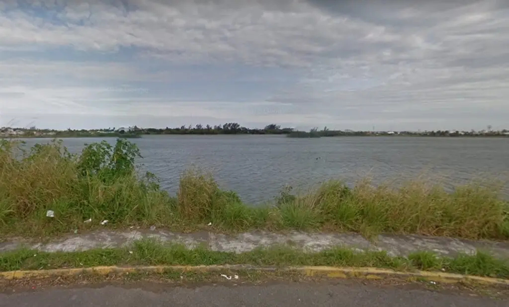 Imagen Hay 7 cocodrilos en lagunas de Veracruz 