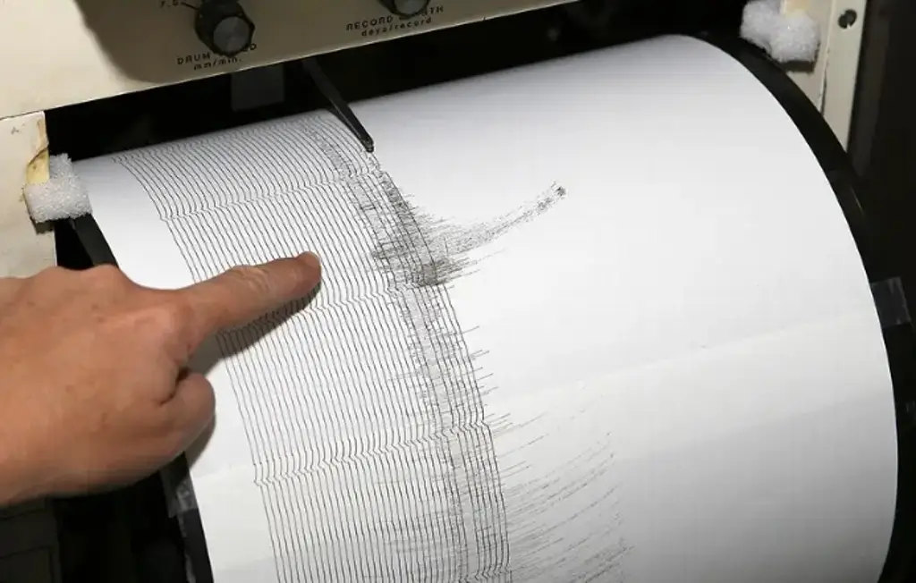 Imagen Sismo de magnitud 7 sacude Nueva Zelanda 