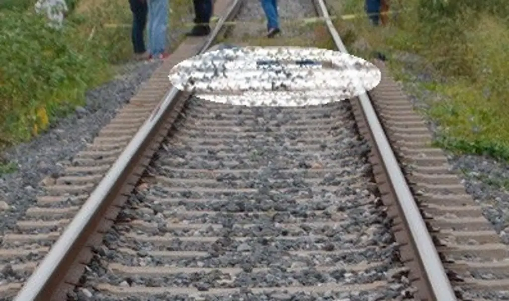 Imagen Tren arrolla y mata a cortador de caña en Tierra Blanca, Veracruz