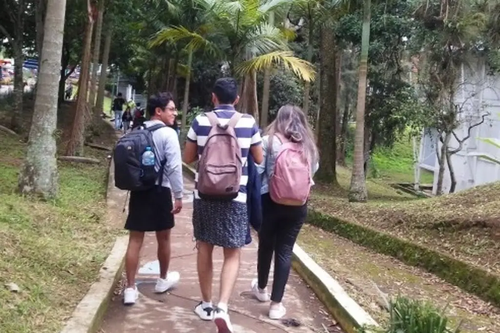 Imagen Tres estudiantes de bachillerato en Veracruz se han suicidado, reporta SEV 