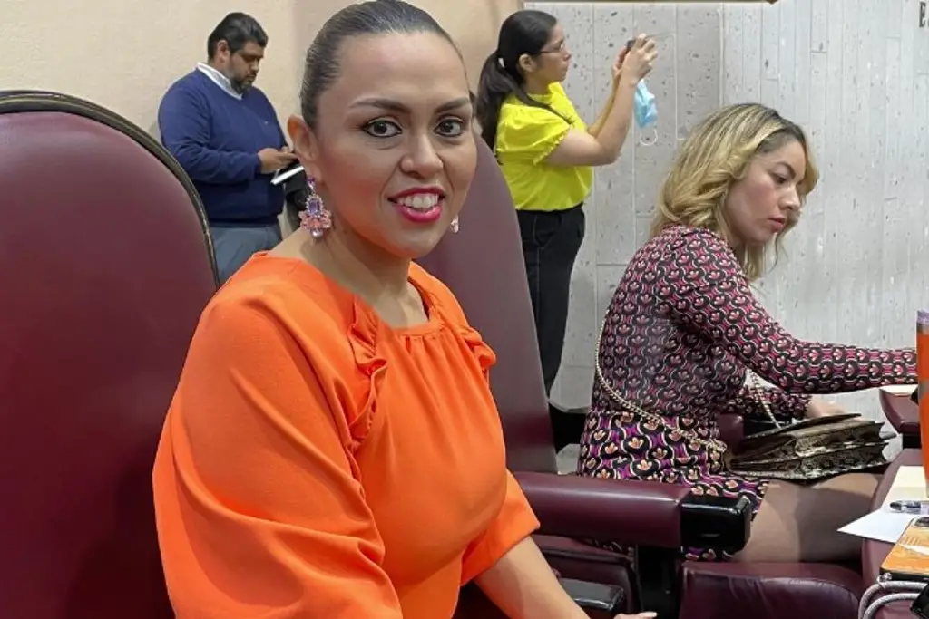 Imagen Emite Tribunal medidas de protección para diputada Ruth Callejas Roldán