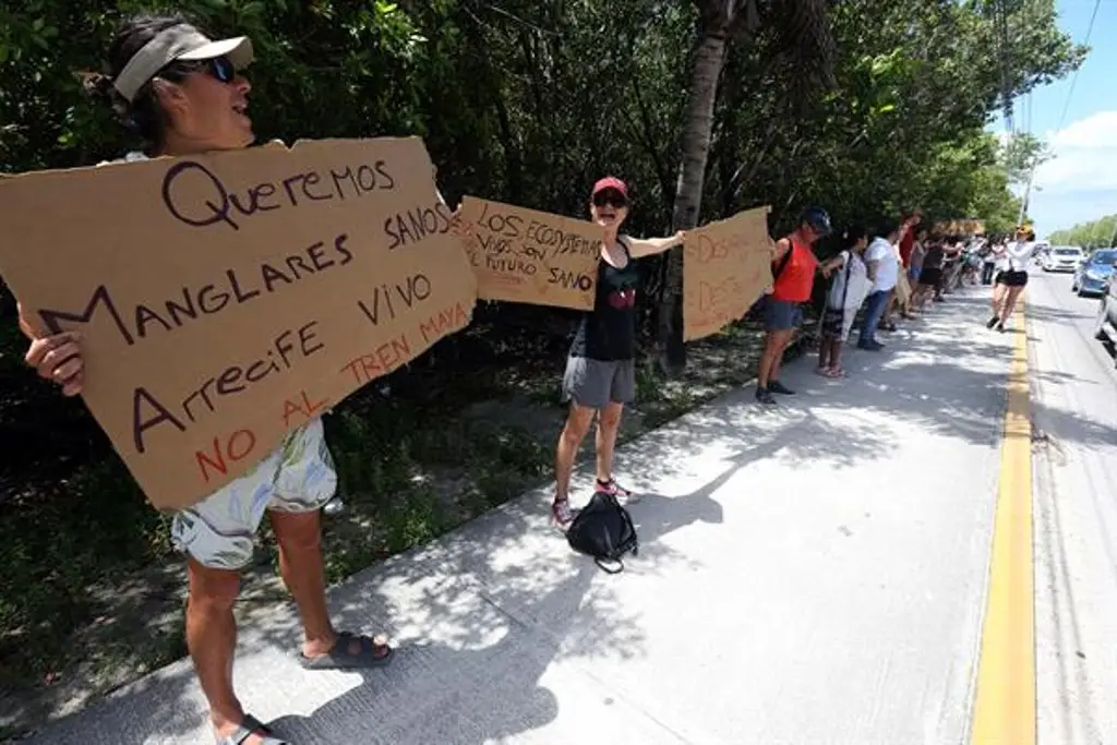 Imagen Ambientalistas protestan por daños durante construcción del Tren Maya
