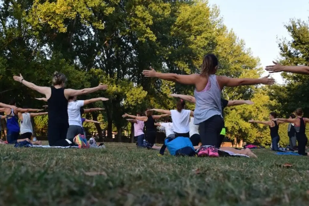 Imagen Checa estas 7 actividades que pueden nutrir la mente 