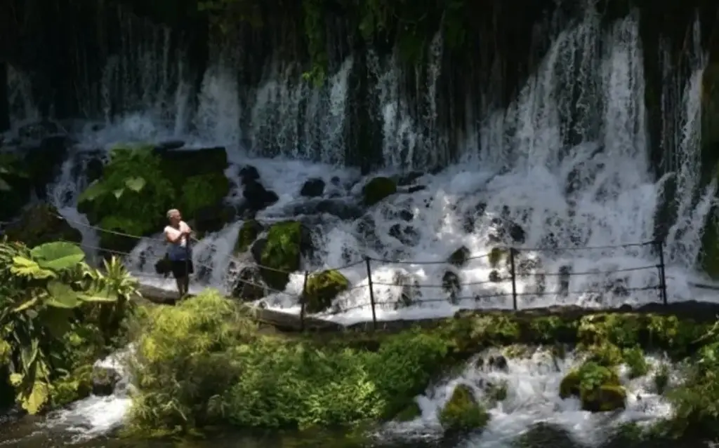 Imagen “Nace el río”, un oasis en Veracruz; así puedes visitarlo