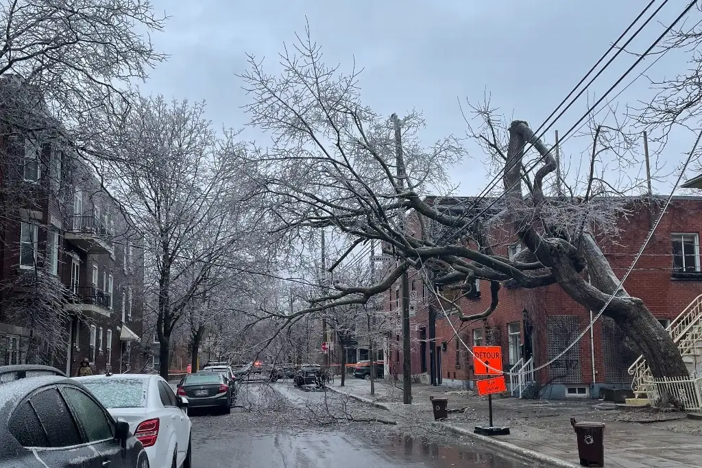 Imagen Tormenta de hielo deja sin electricidad a casi 600 mil hogares en Canadá