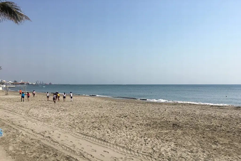 Imagen Si vas a la playa ten cuidado con la aguamala ¿Qué es?