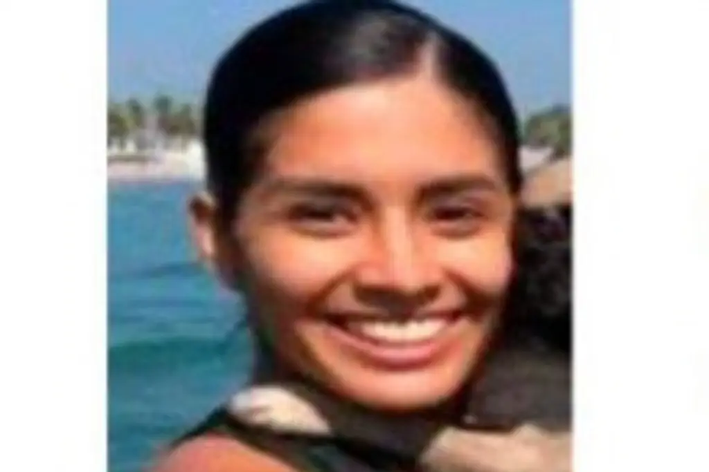 Imagen Hallan en Veracruz a joven que había desaparecido en Querétaro 