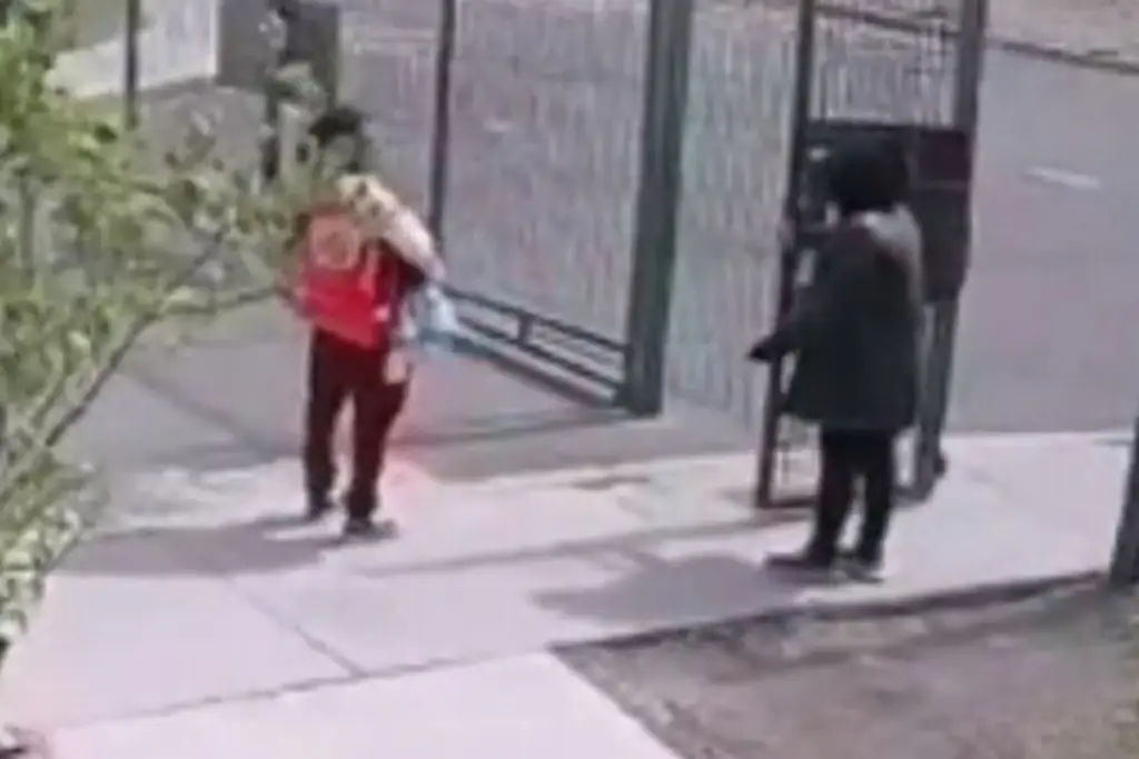 Imagen Mujer intentó robar un bebé de los brazos de su madre; vecinos lo impidieron (+Video)