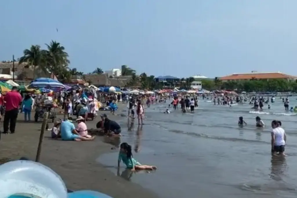 Imagen Llega sargazo a playas de Veracruz