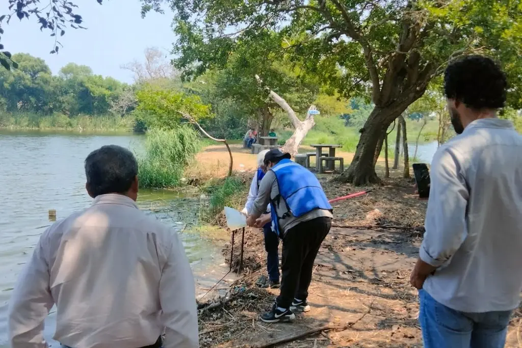 Imagen Investigan mortandad de peces en laguna artificial de Medellín