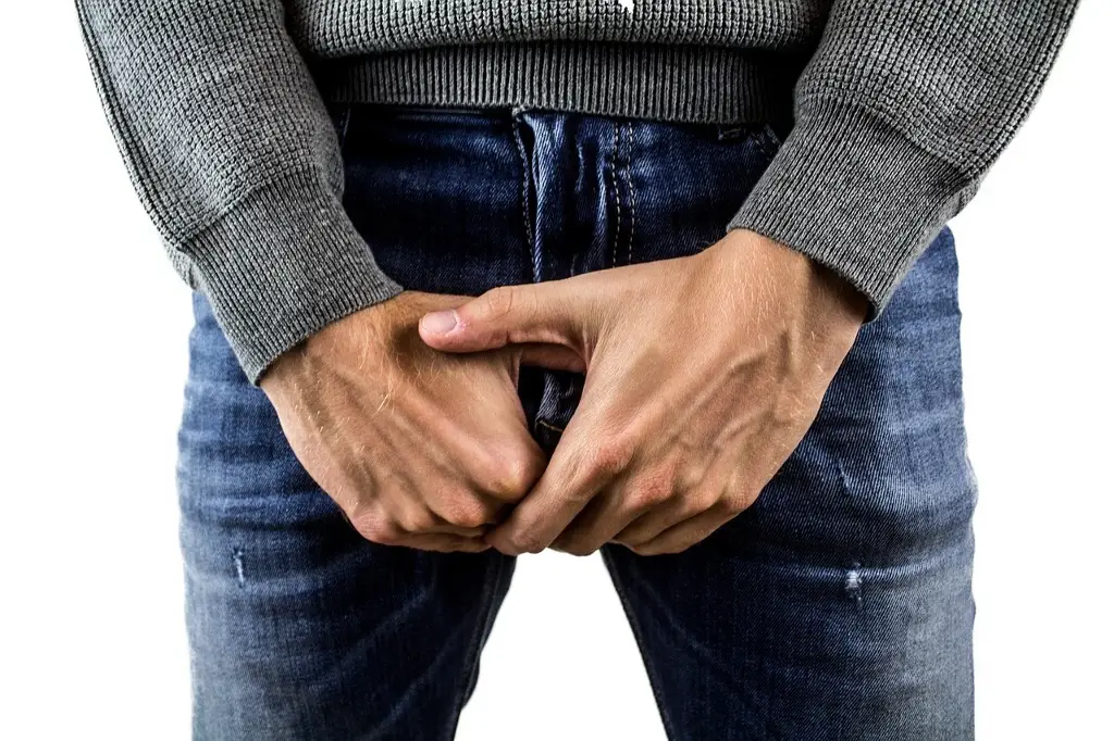 Imagen Hoy es Día Internacional del miembro masculino ¿Por qué se celebra hoy?