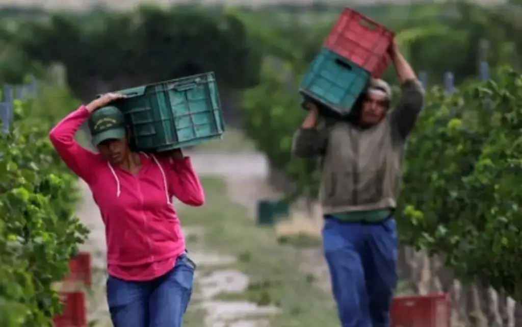 Economía en Veracruz es diversificada, hay áreas de oportunidades