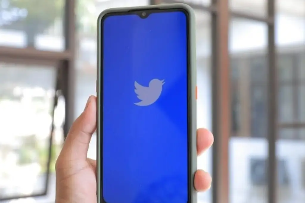 Imagen Twitter elimina cuentas inactivas desde hace años, revela Elon Musk 