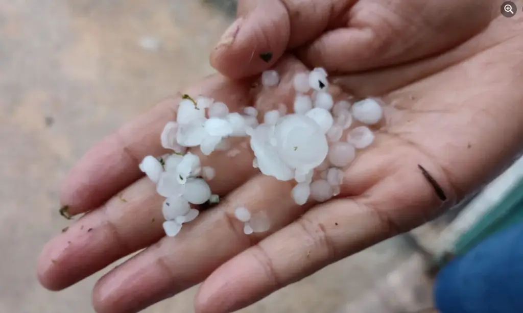 Imagen ¿Cuándo granizó en el puerto de Veracruz? Esto revelan meteorólogos