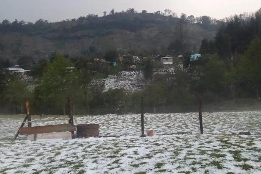 Imagen Hasta un año tardaría pago a productores con plantíos dañados por fenómenos naturales en Veracruz
