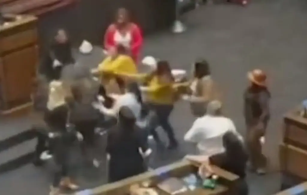 Imagen Legisladores se pelean a golpes y patadas durante sesión (+Video)