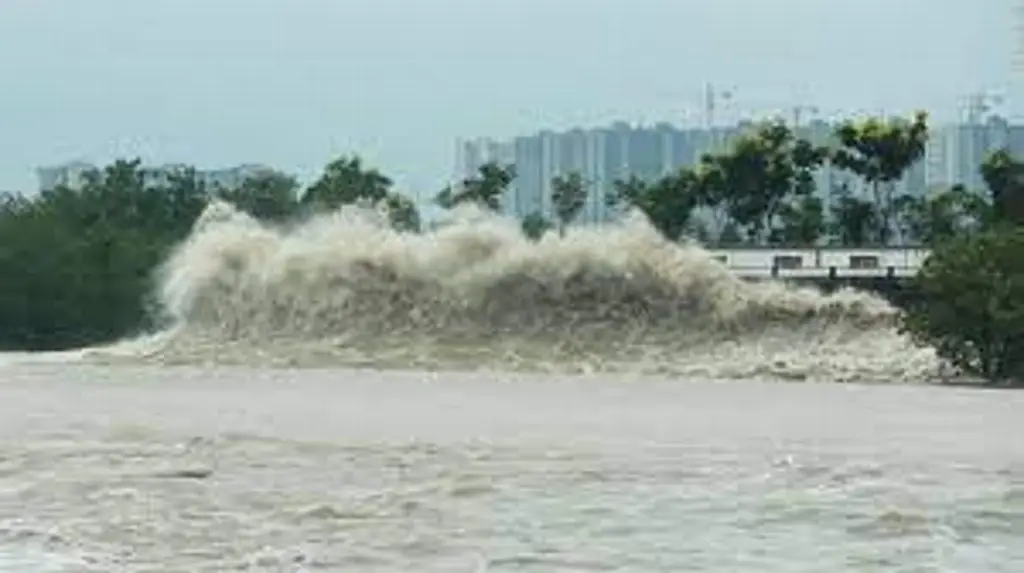 Imagen Azota tifón Mawar con vientos de 225 Km/h la Isla de Guam; deja destrucción