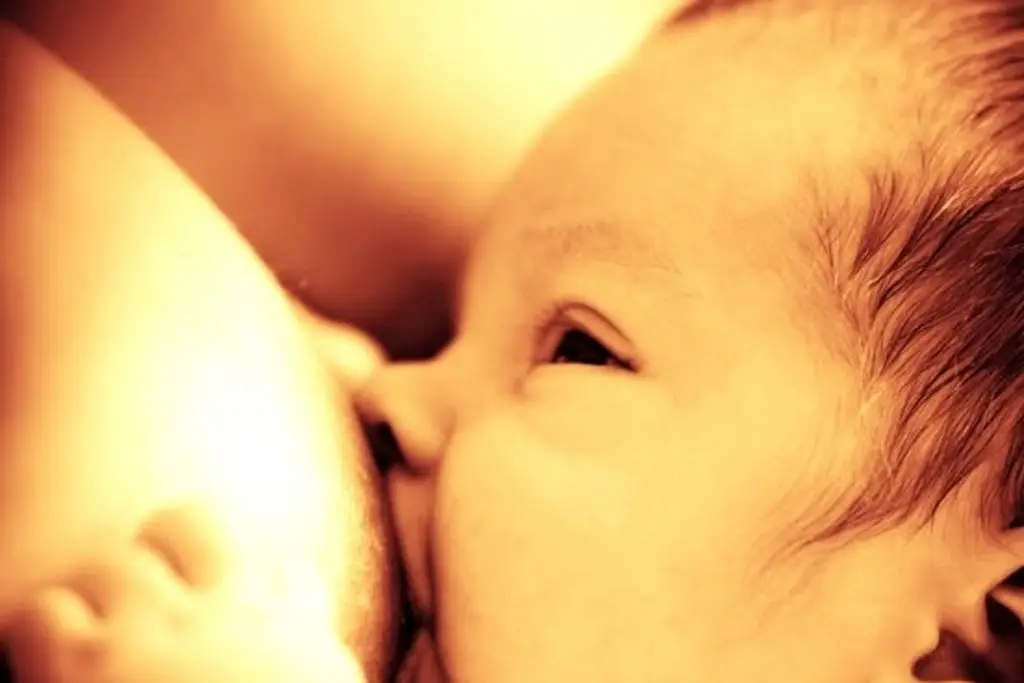 Imagen El ácido graso de la leche materna es esencial para activar el corazón del neonato: Investigación