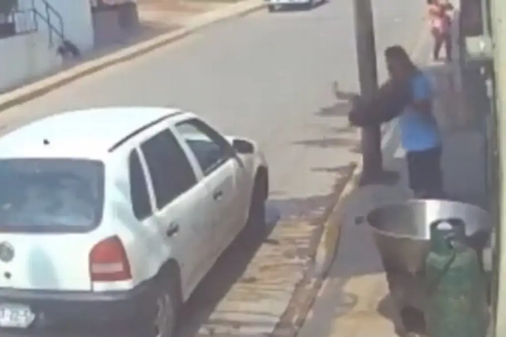 Imagen Arrojan a perrito a cazuela con aceite hirviendo (+video)